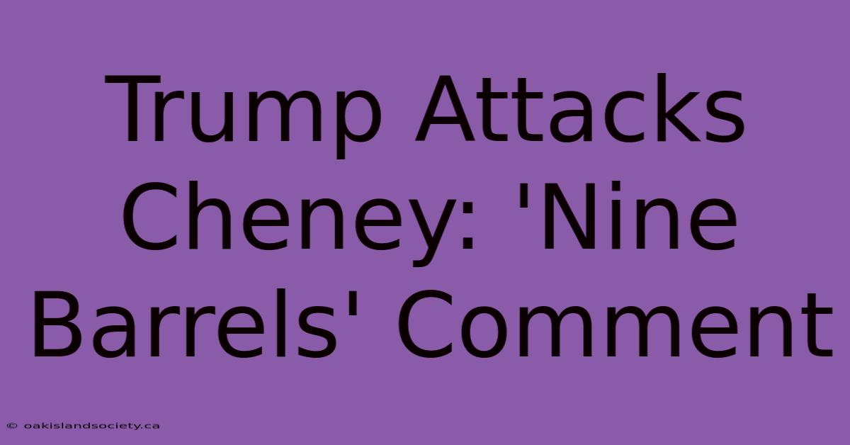 Trump Attacks Cheney: 'Nine Barrels' Comment