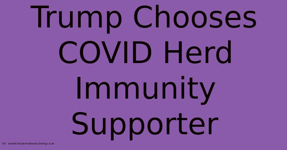 Trump Chooses COVID Herd Immunity Supporter