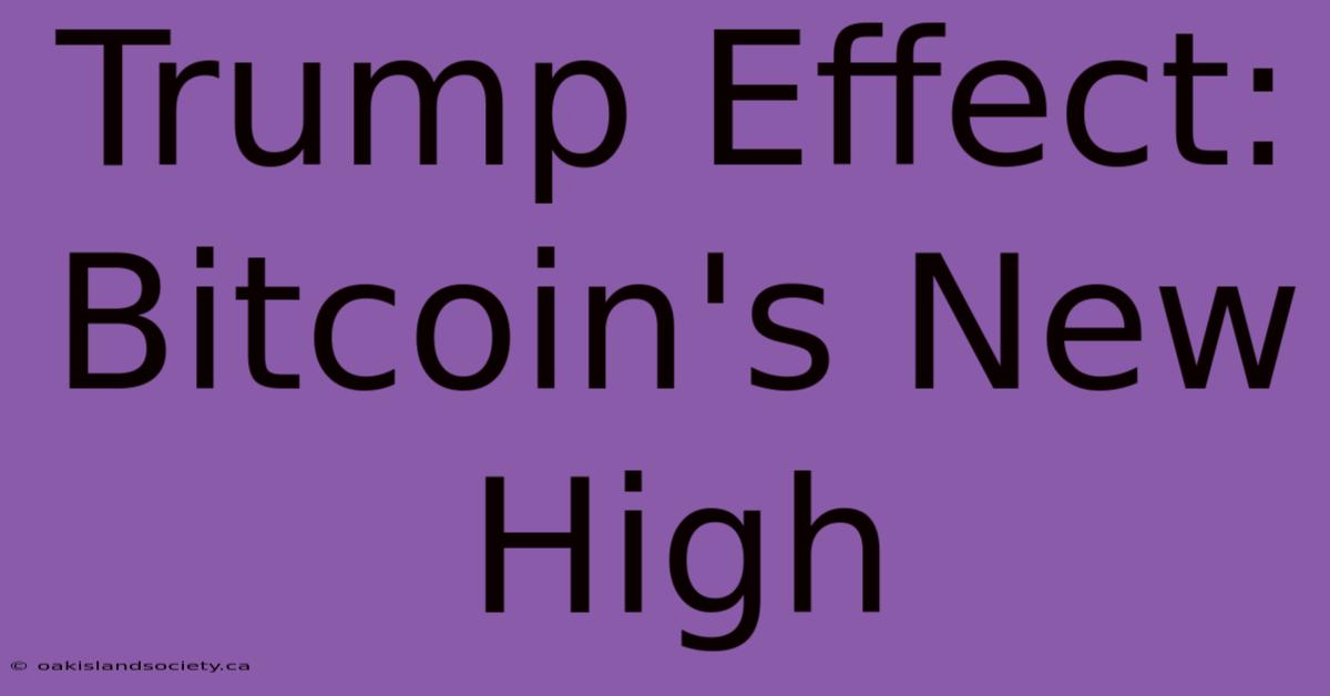 Trump Effect: Bitcoin's New High