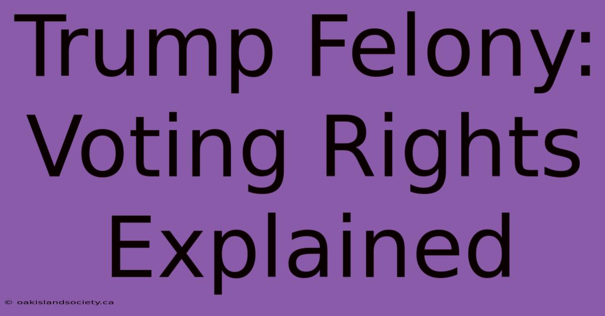 Trump Felony: Voting Rights Explained