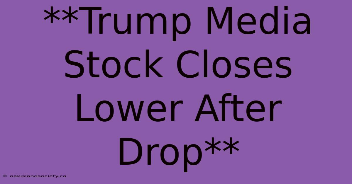 **Trump Media Stock Closes Lower After Drop** 