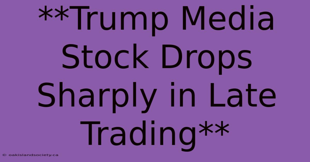 **Trump Media Stock Drops Sharply In Late Trading**