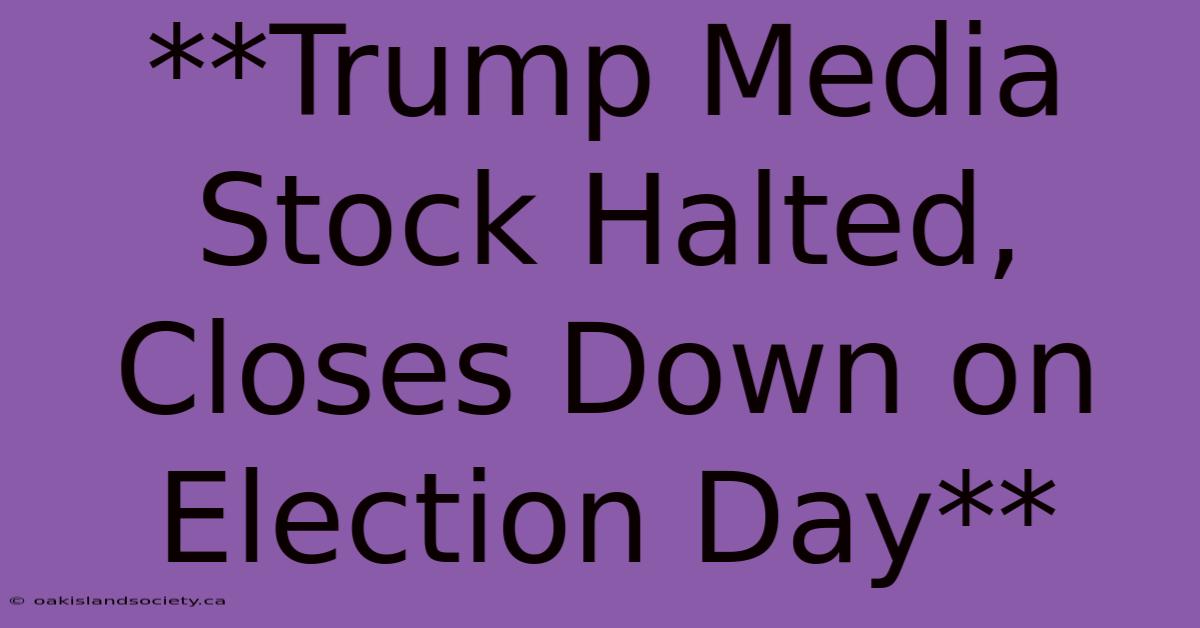 **Trump Media Stock Halted, Closes Down On Election Day** 