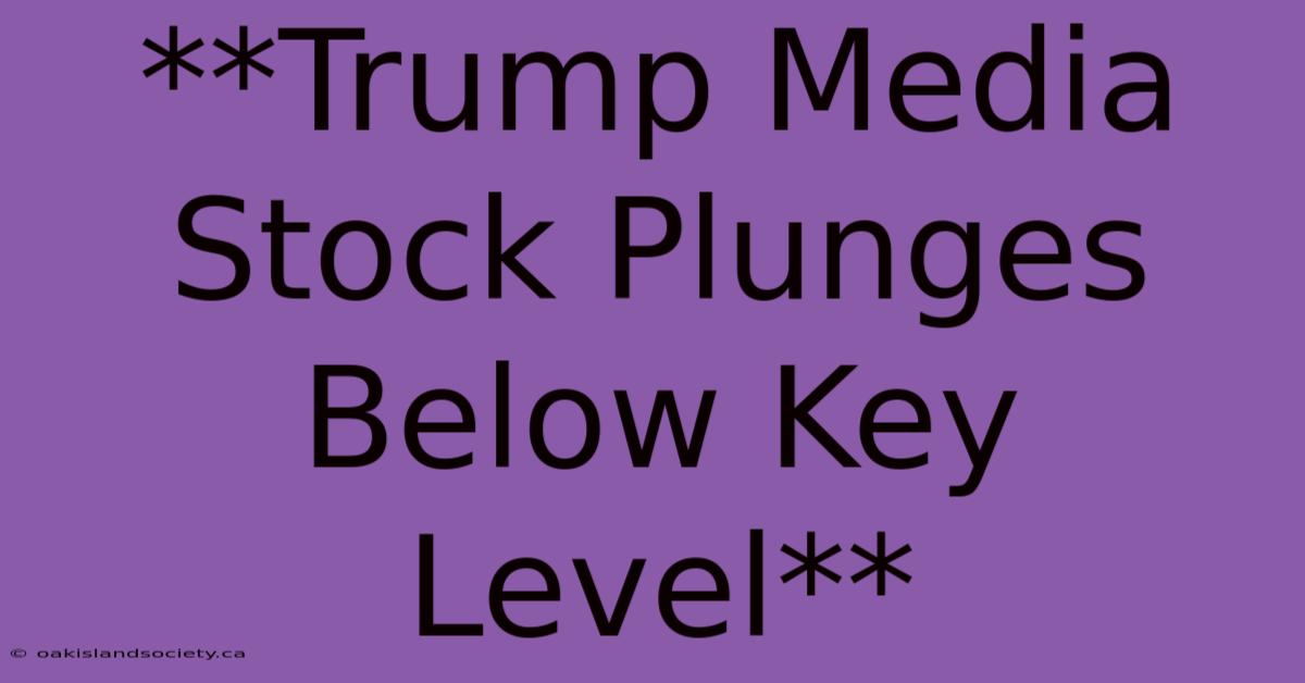 **Trump Media Stock Plunges Below Key Level** 