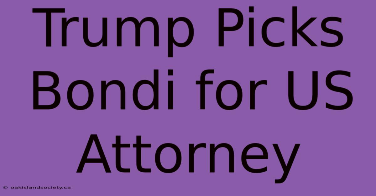 Trump Picks Bondi For US Attorney