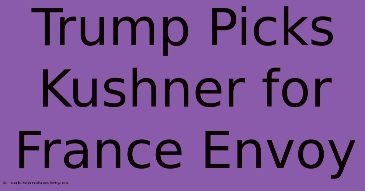 Trump Picks Kushner For France Envoy