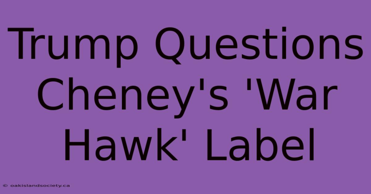 Trump Questions Cheney's 'War Hawk' Label