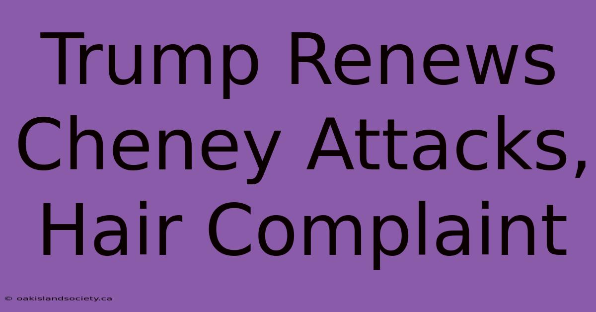 Trump Renews Cheney Attacks, Hair Complaint