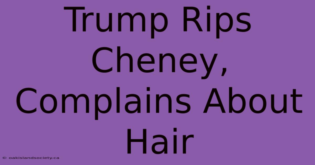 Trump Rips Cheney, Complains About Hair 