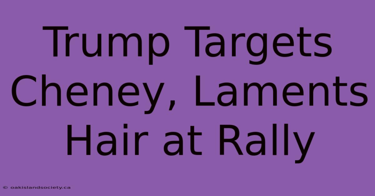 Trump Targets Cheney, Laments Hair At Rally