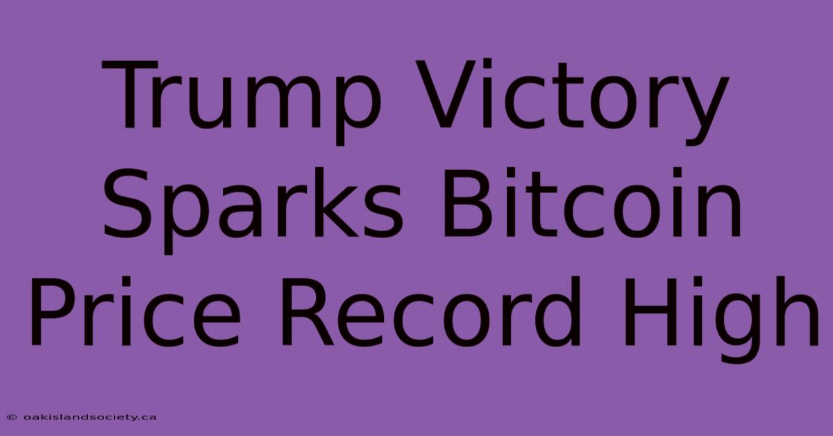 Trump Victory Sparks Bitcoin Price Record High