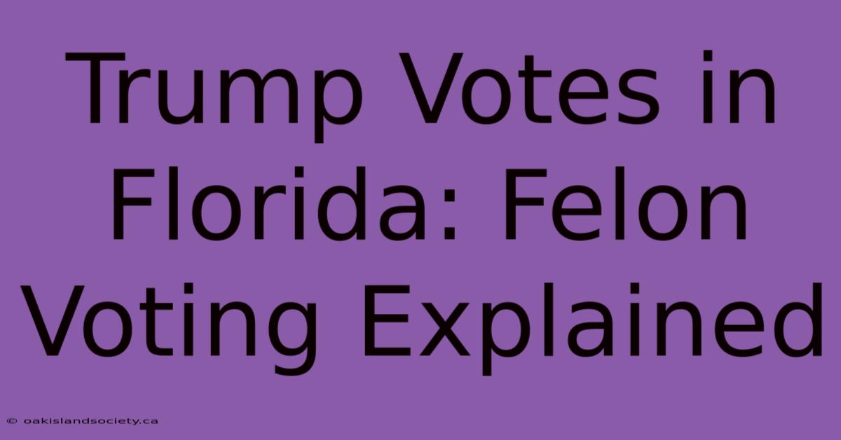 Trump Votes In Florida: Felon Voting Explained