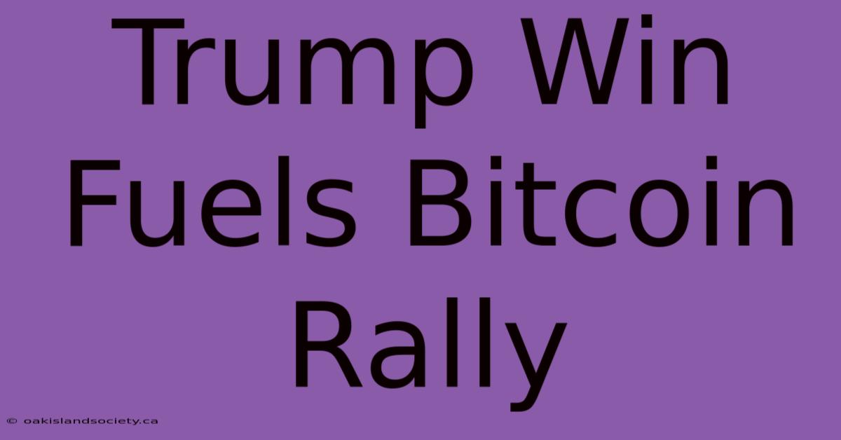 Trump Win Fuels Bitcoin Rally