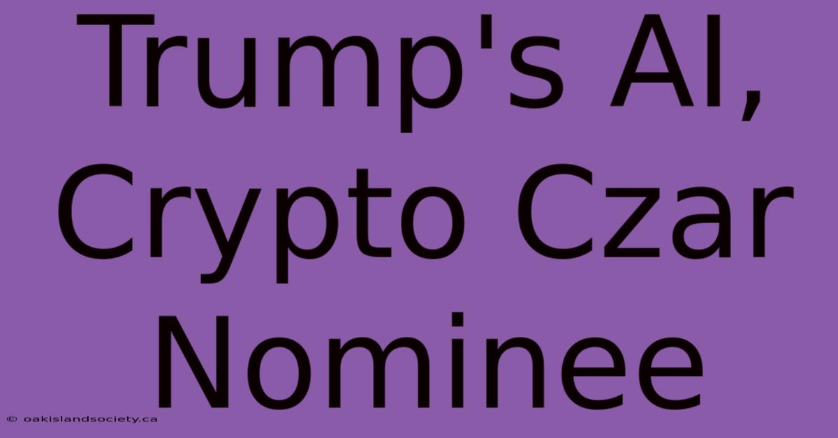 Trump's AI, Crypto Czar Nominee