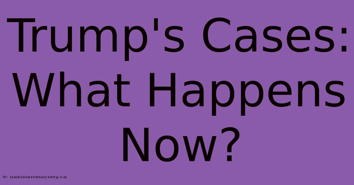 Trump's Cases: What Happens Now?