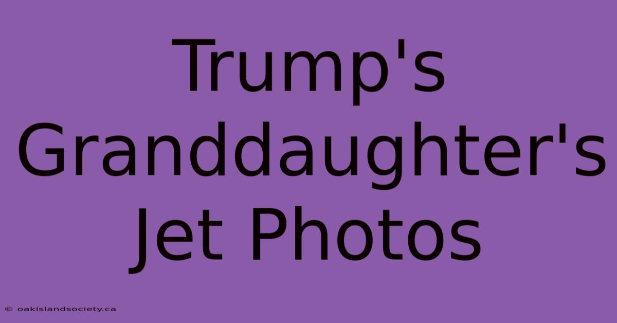 Trump's Granddaughter's Jet Photos