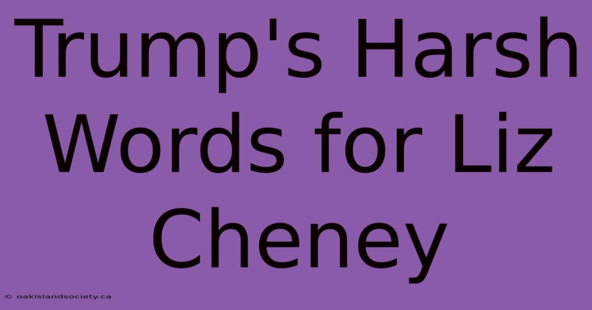 Trump's Harsh Words For Liz Cheney 