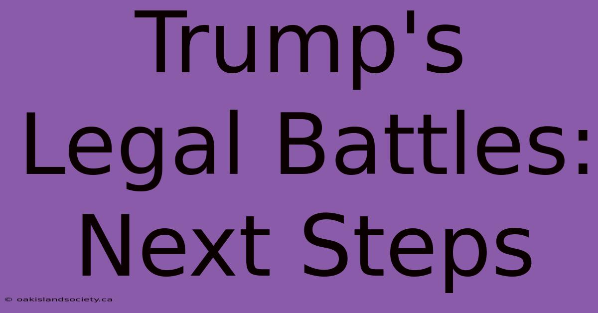 Trump's Legal Battles: Next Steps