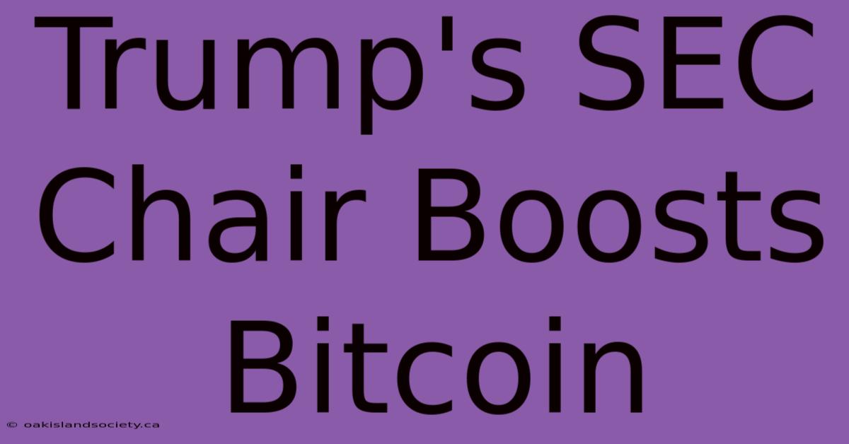 Trump's SEC Chair Boosts Bitcoin