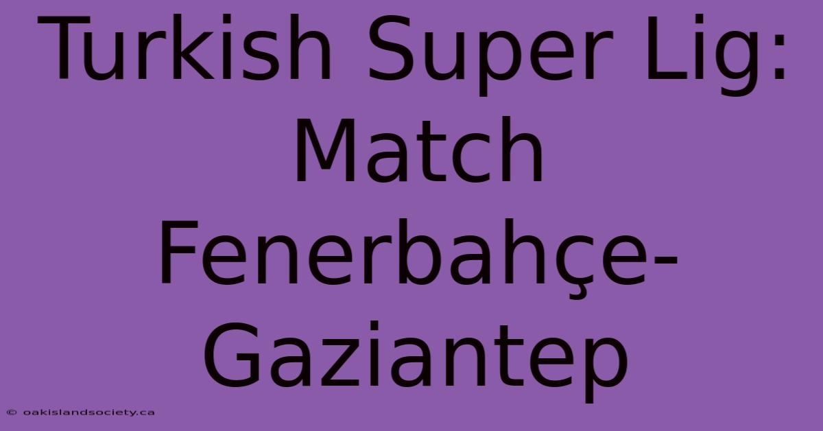 Turkish Super Lig: Match Fenerbahçe-Gaziantep