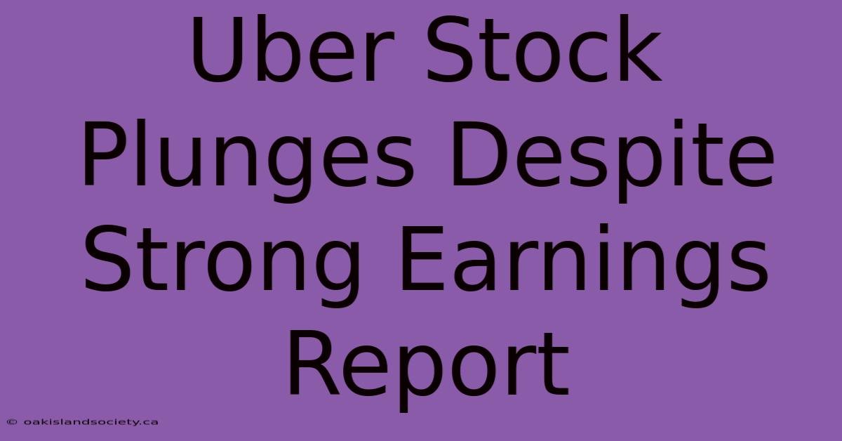 Uber Stock Plunges Despite Strong Earnings Report