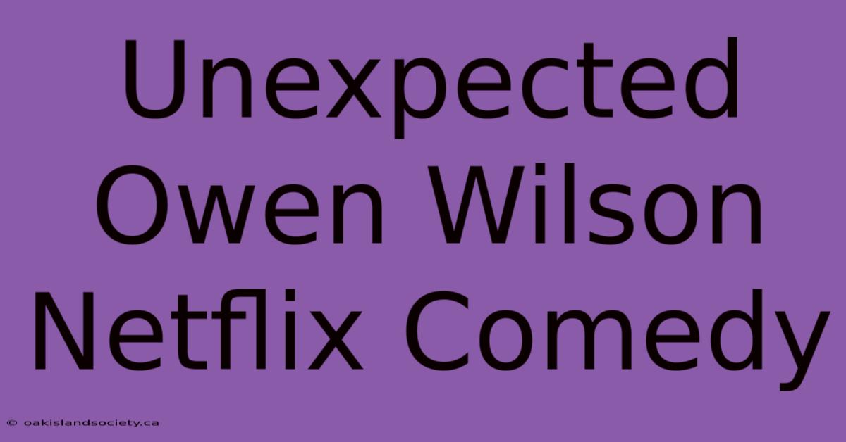 Unexpected Owen Wilson Netflix Comedy