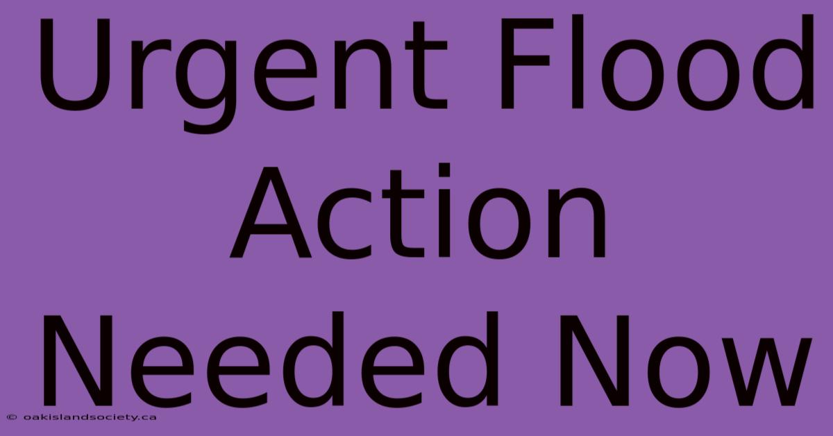 Urgent Flood Action Needed Now