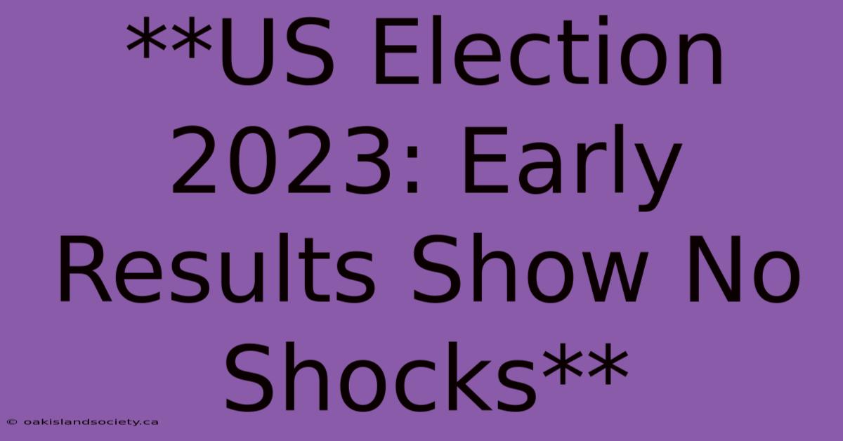 **US Election 2023: Early Results Show No Shocks** 