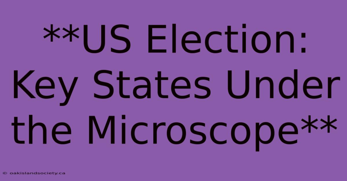 **US Election: Key States Under The Microscope**