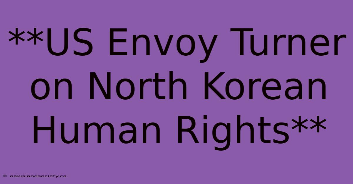 **US Envoy Turner On North Korean Human Rights** 