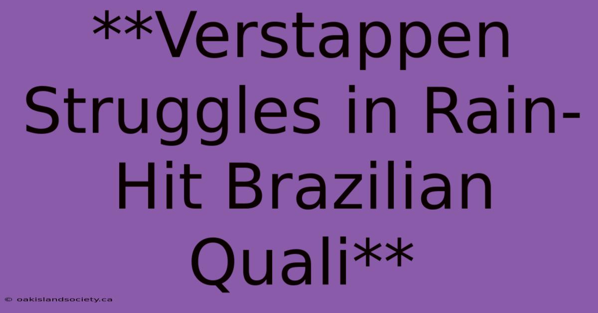 **Verstappen Struggles In Rain-Hit Brazilian Quali**