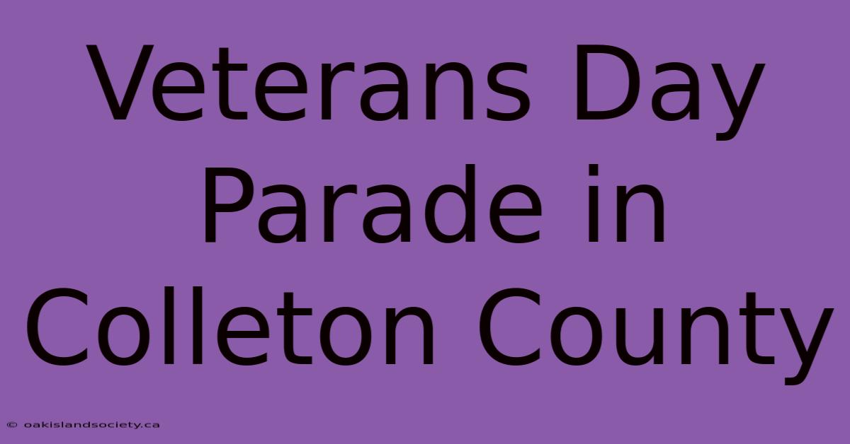 Veterans Day Parade In Colleton County