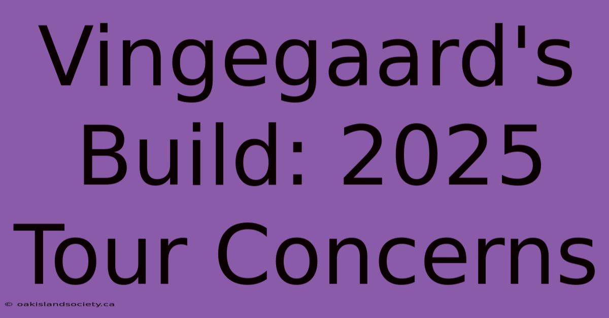 Vingegaard's Build: 2025 Tour Concerns