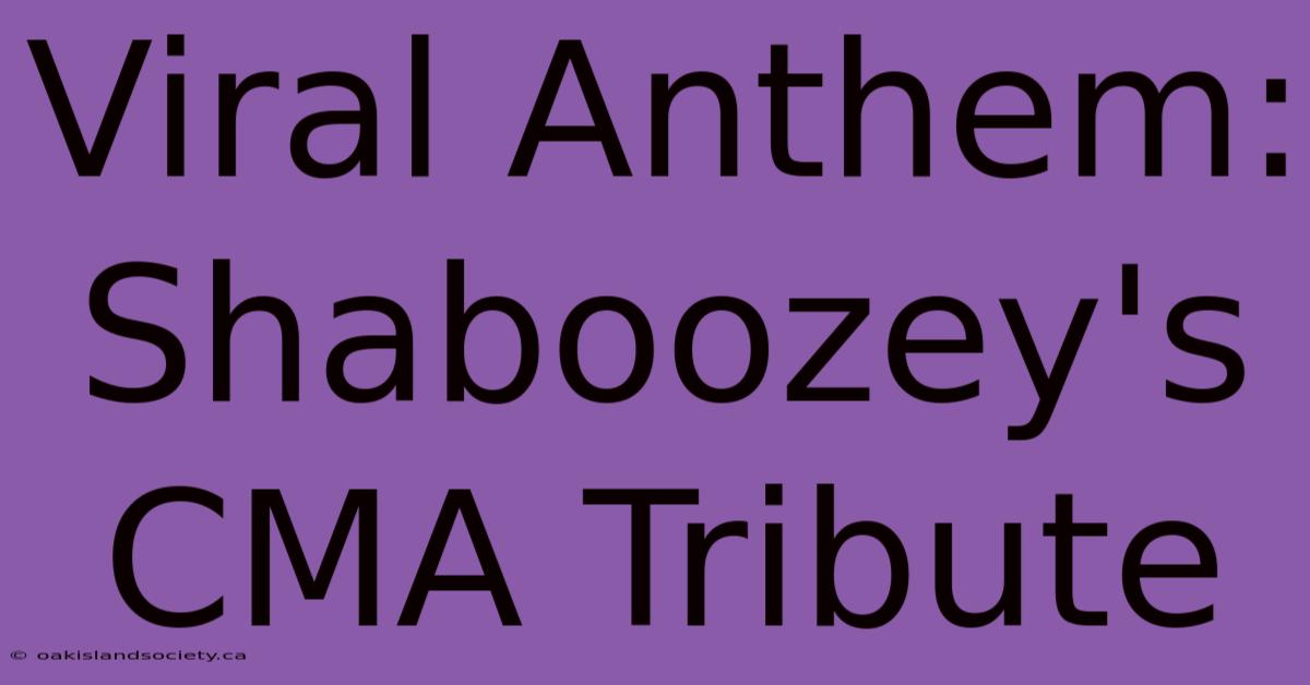 Viral Anthem: Shaboozey's CMA Tribute