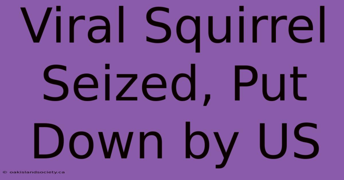 Viral Squirrel Seized, Put Down By US  