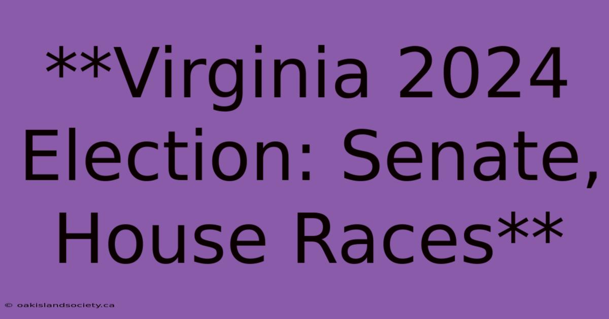 **Virginia 2024 Election: Senate, House Races**