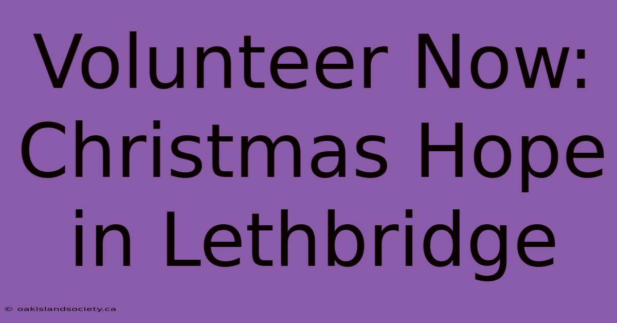 Volunteer Now: Christmas Hope In Lethbridge