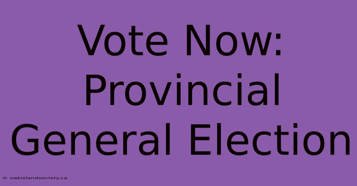 Vote Now: Provincial General Election