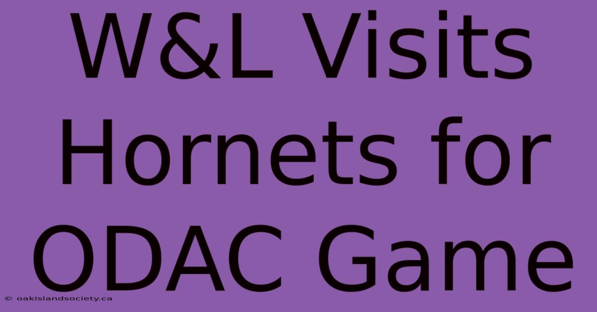 W&L Visits Hornets For ODAC Game