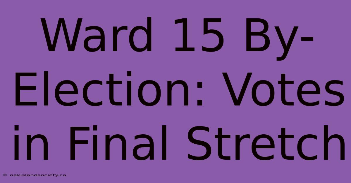 Ward 15 By-Election: Votes In Final Stretch