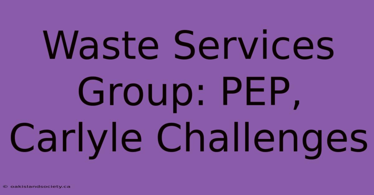 Waste Services Group: PEP, Carlyle Challenges