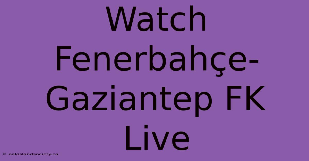 Watch Fenerbahçe-Gaziantep FK Live