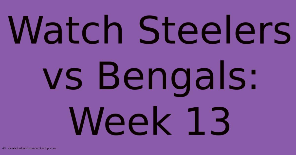 Watch Steelers Vs Bengals: Week 13