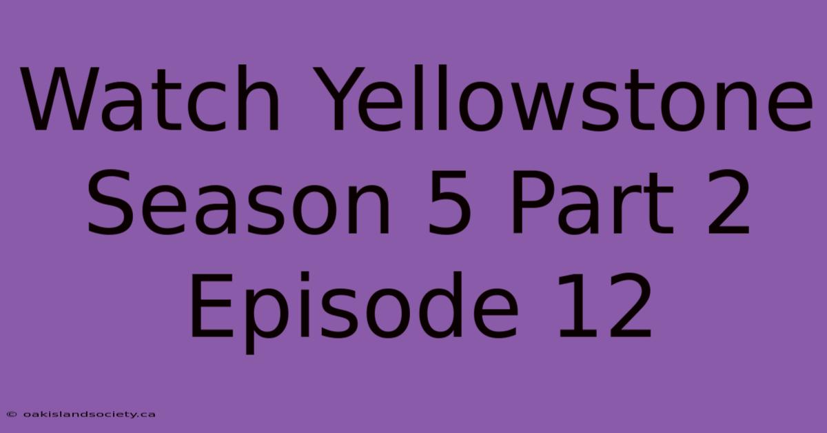 Watch Yellowstone Season 5 Part 2 Episode 12