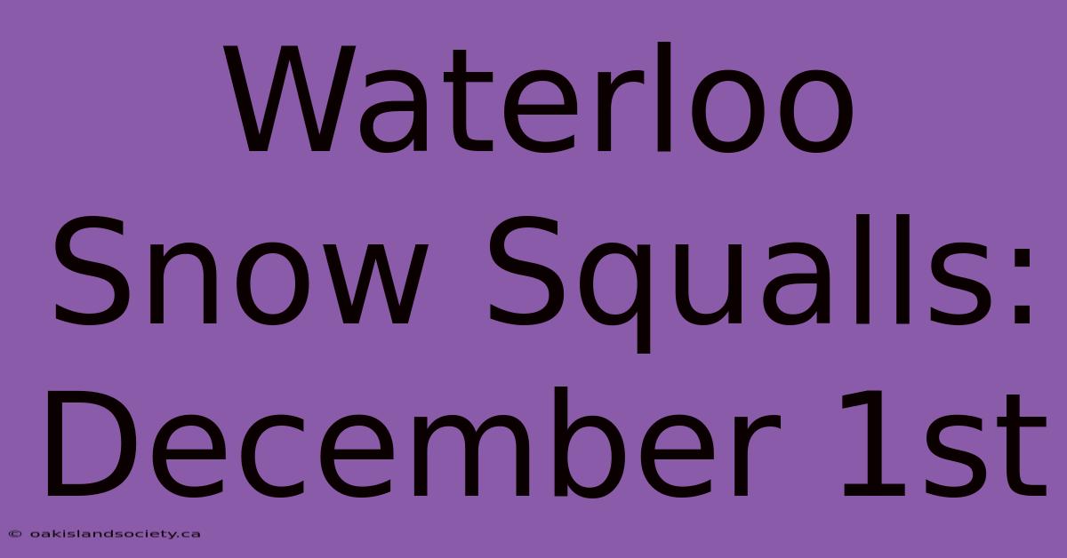 Waterloo Snow Squalls: December 1st