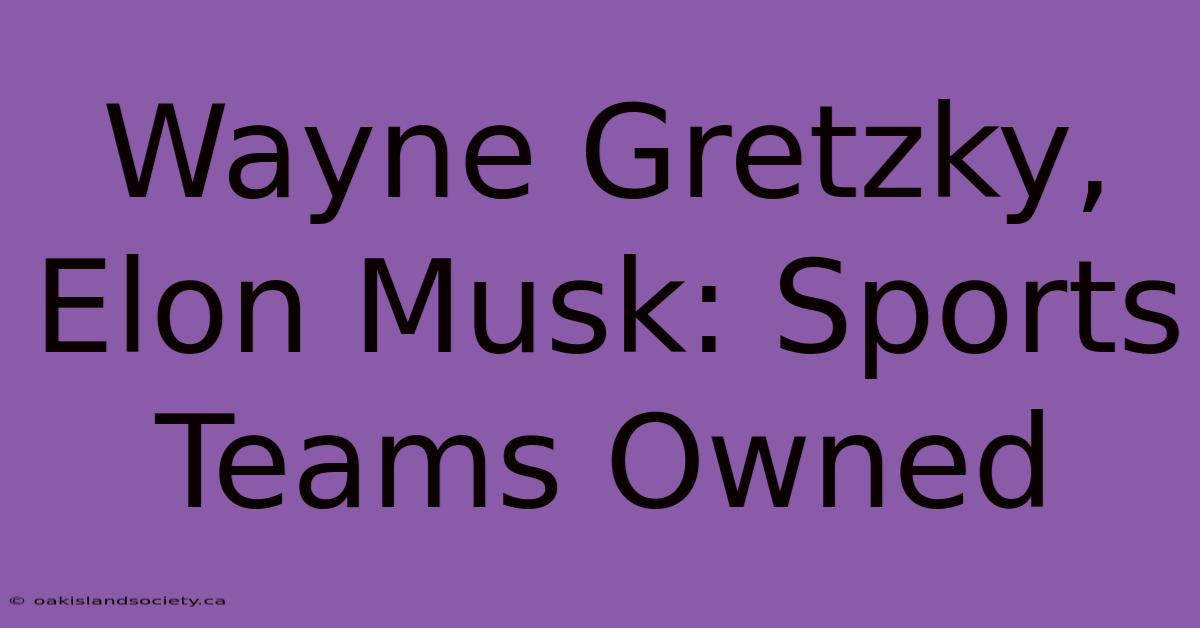 Wayne Gretzky, Elon Musk: Sports Teams Owned 