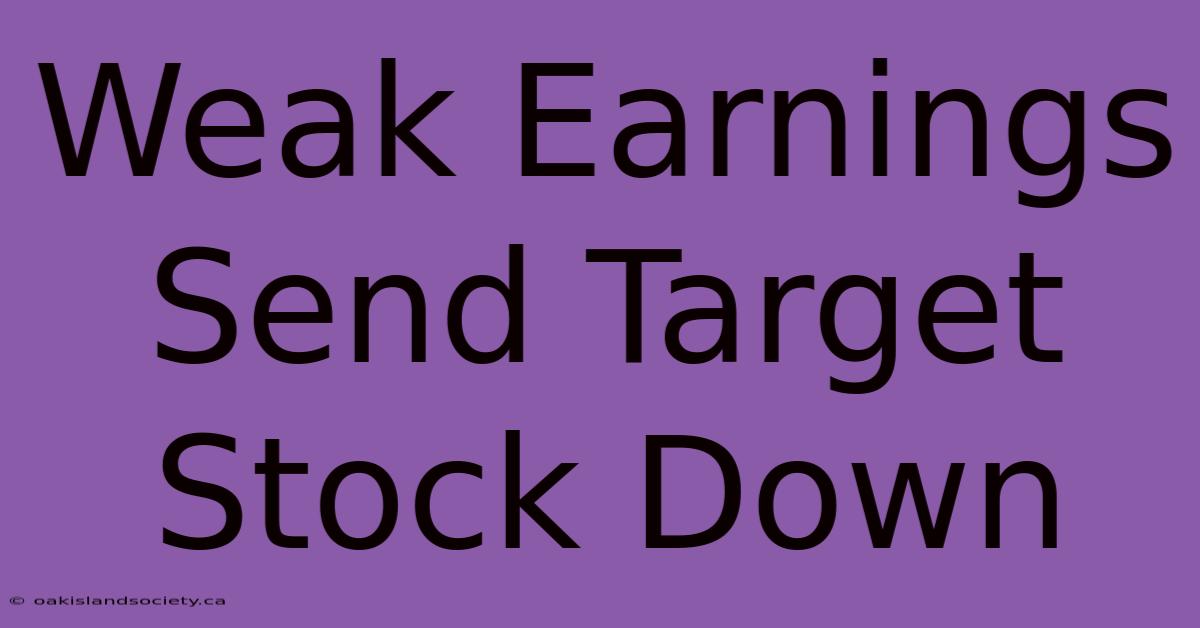 Weak Earnings Send Target Stock Down