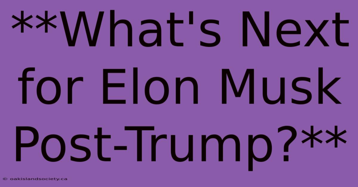 **What's Next For Elon Musk Post-Trump?**