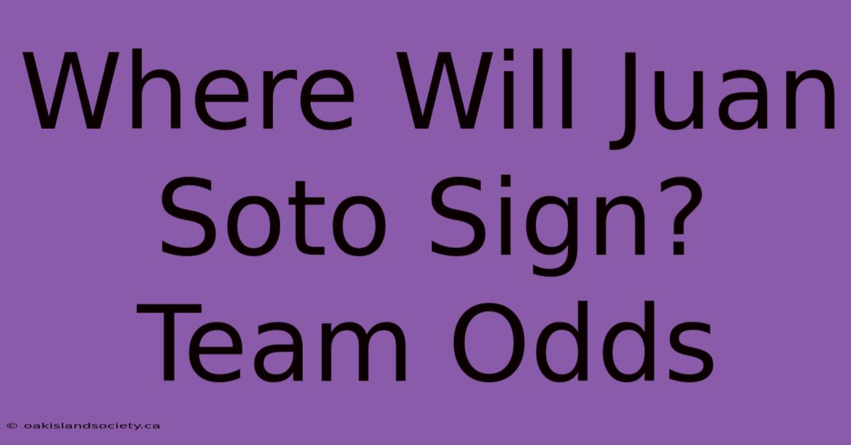 Where Will Juan Soto Sign? Team Odds