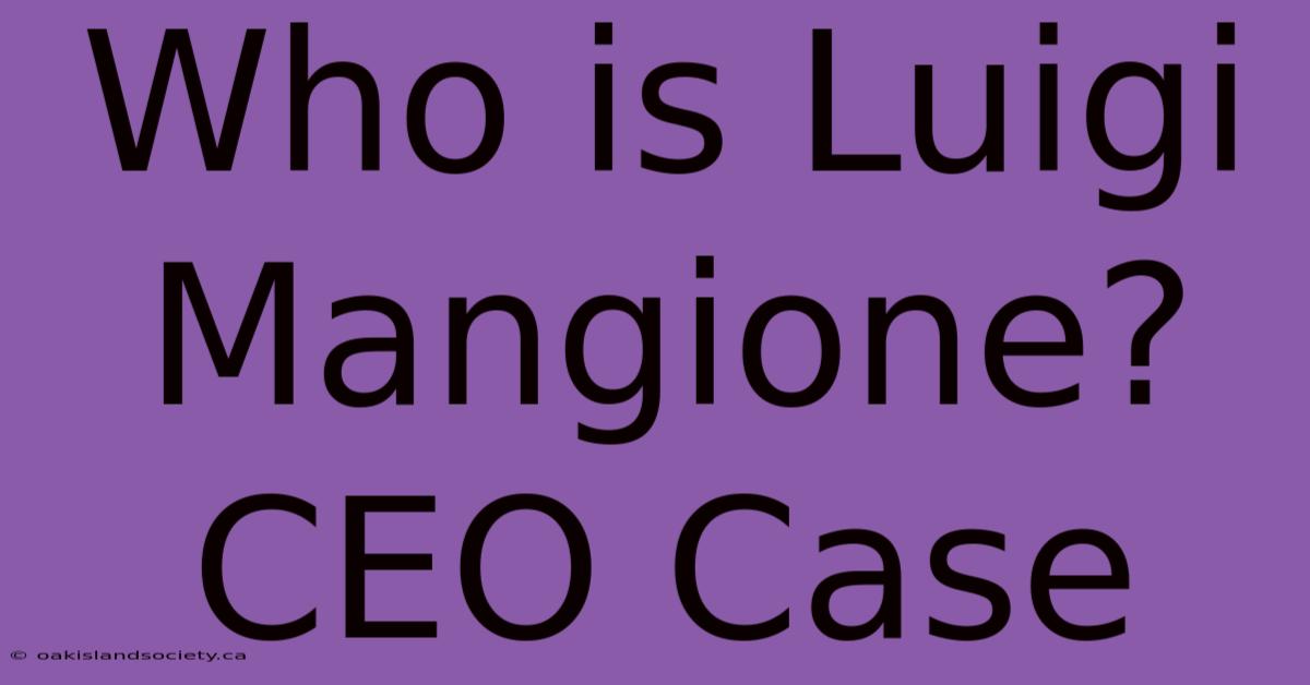 Who Is Luigi Mangione? CEO Case